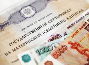 هل يتم منح رأس مال الأمومة للطفل الأول في روسيا؟